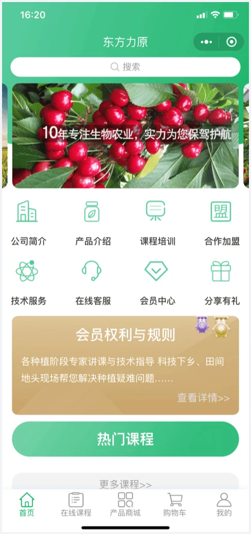 东方力原